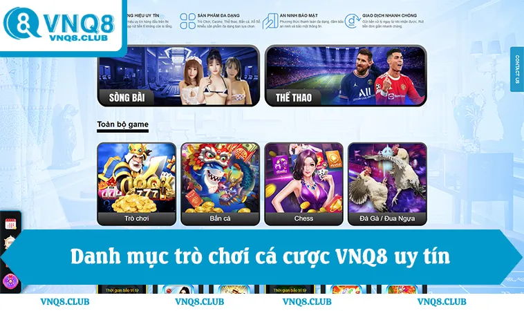 Danh mục trò chơi VNQ8 uy tín từ cá cược đến casino