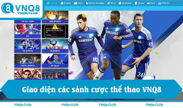 Giao diện các sảnh cược thể thao VNQ8 trực tuyến ổn định
