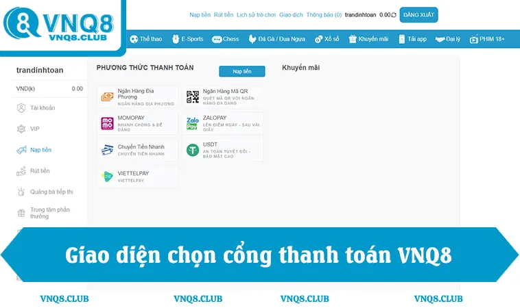 Giao diện chọn cổng thanh toán trong cách nạp tiền VNQ8