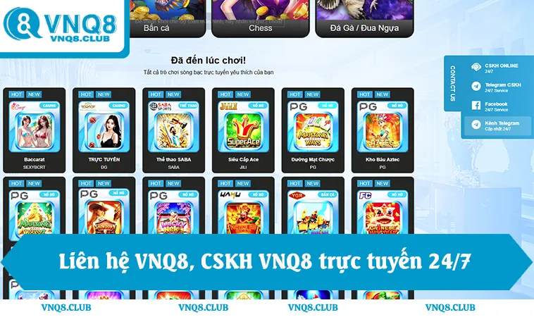 Liên hệ VNQ8, CSKH VNQ8 trực tuyến 24/7, hotline VNQ8