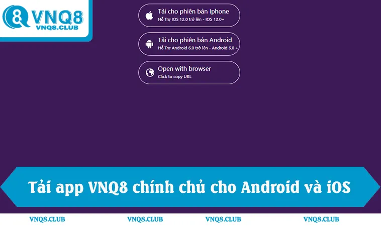 Tải app VNQ8 chính chủ cho Android và iOS
